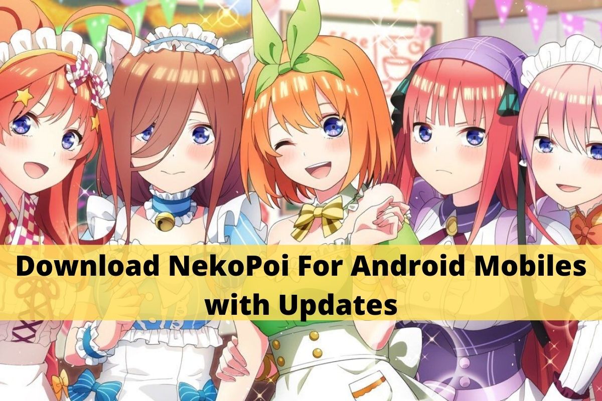 NekoPoi