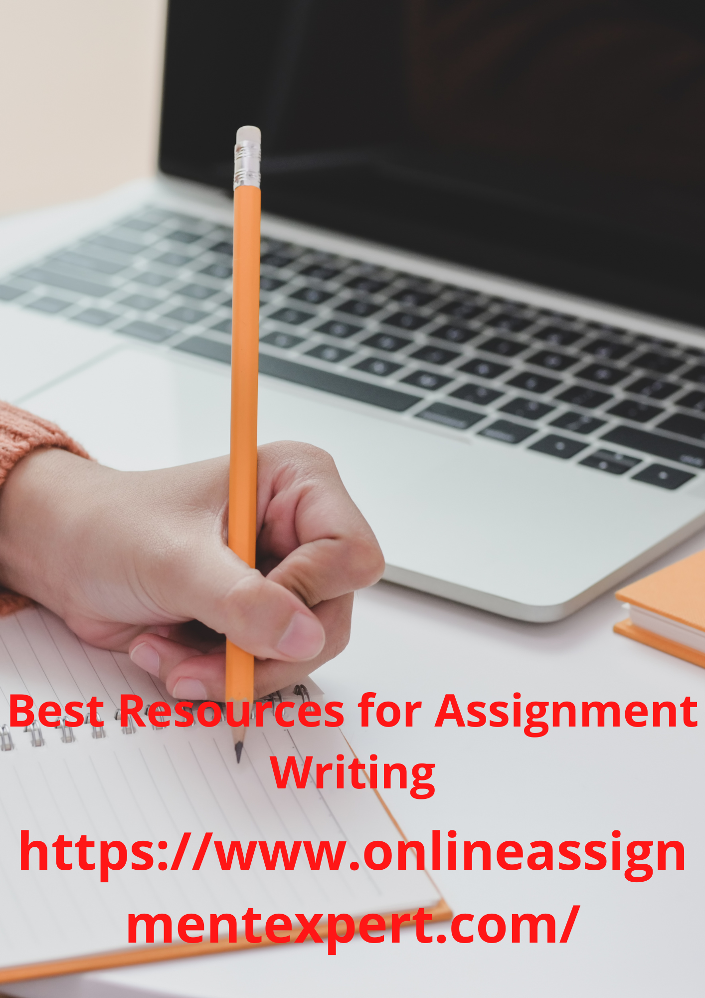 Assignment Writer