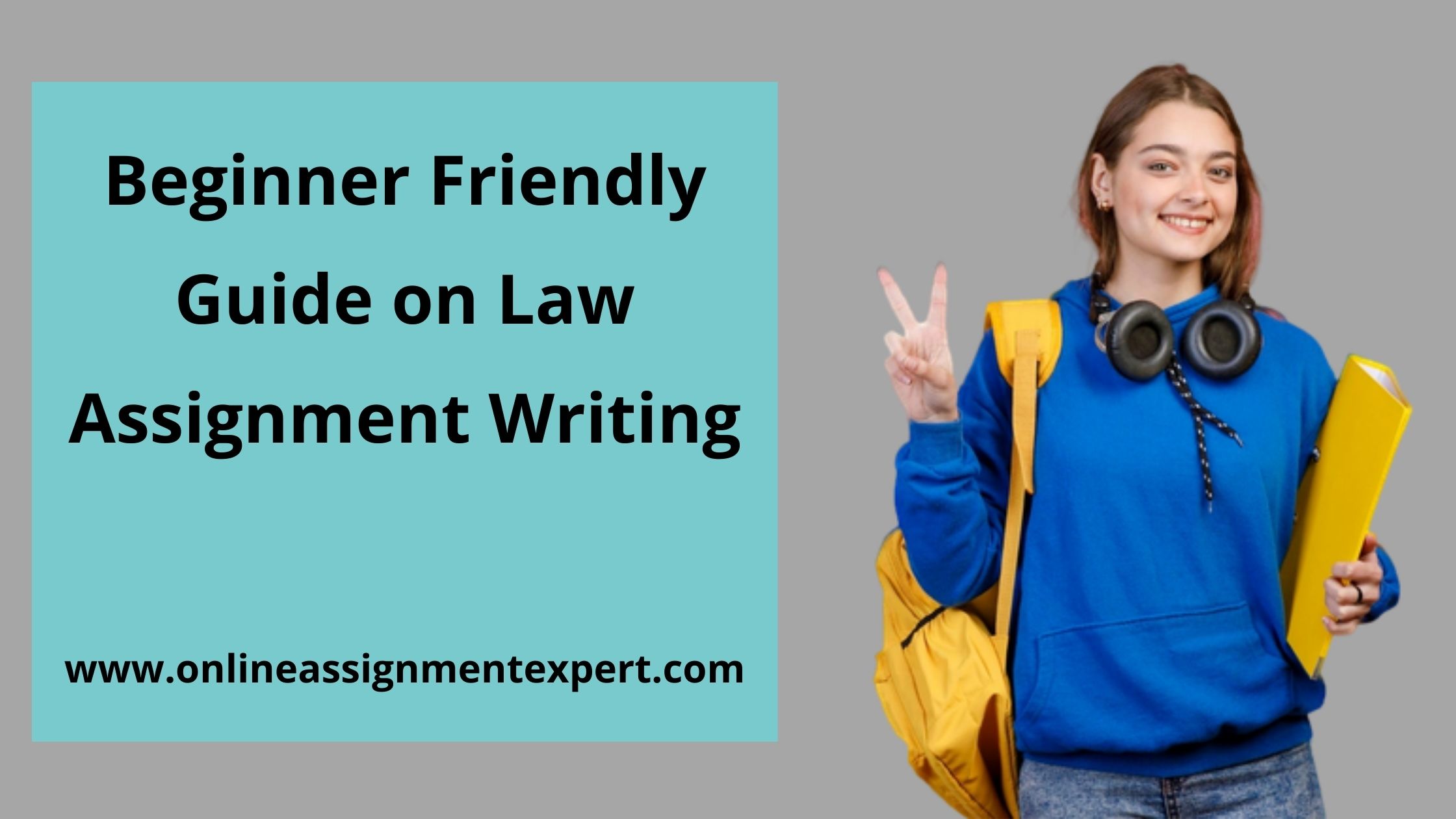 Law Assignment Help