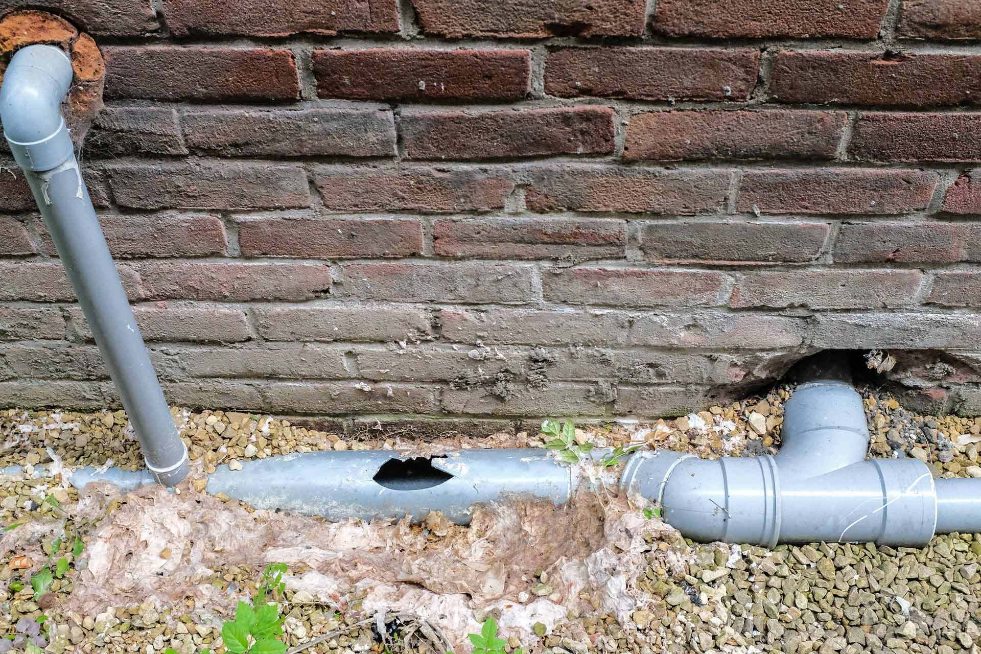 Drain repair Buckinghamshire