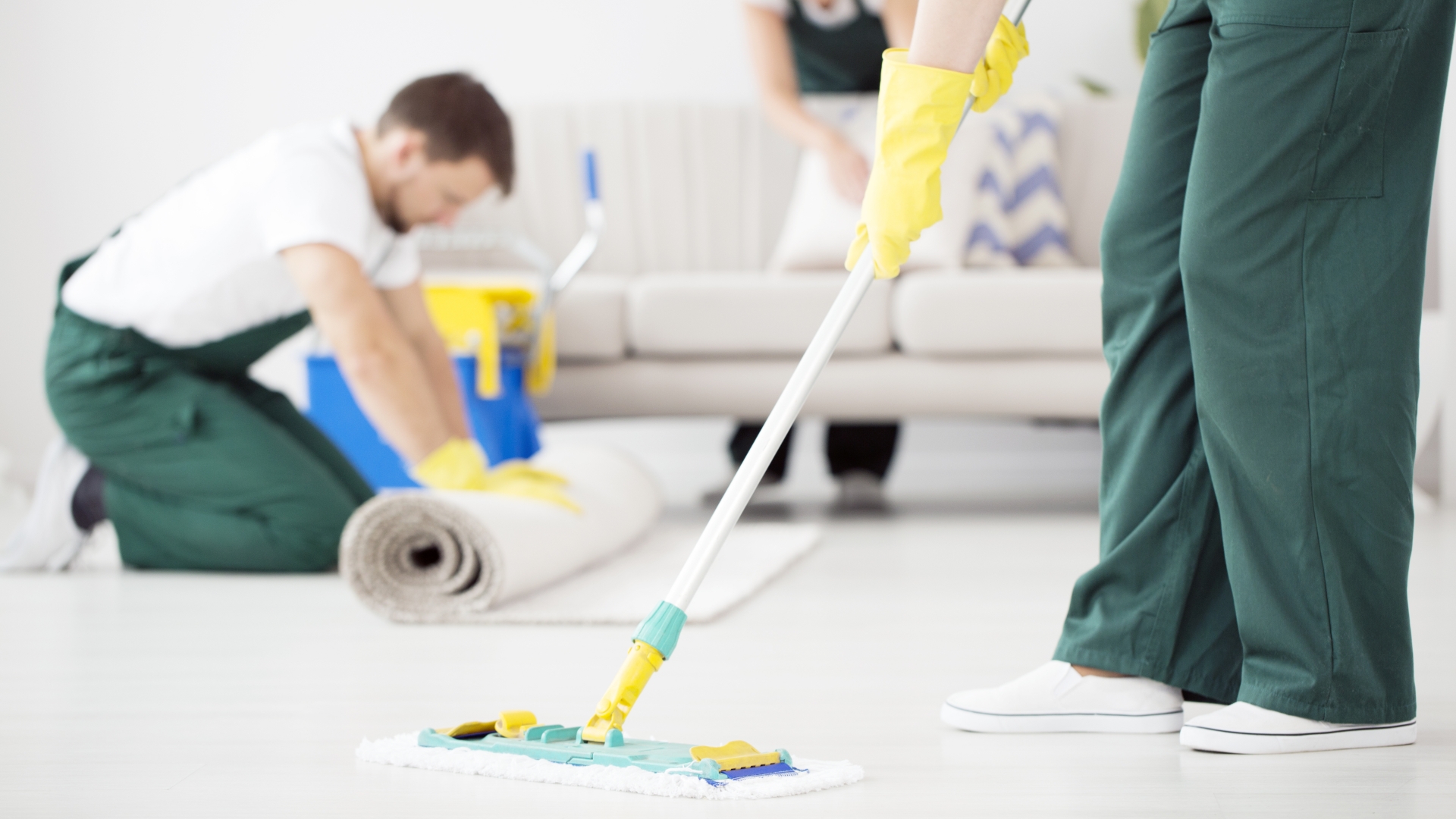 professional carpet cleaning san diego