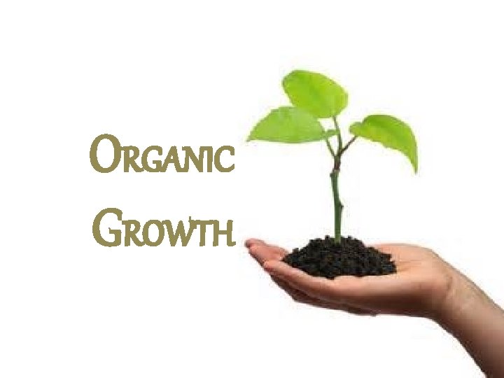 How to Drive Organic Growth: 5 Proven Strategies